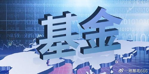 招商基金侯昊 為何此時放開基金限購？探尋企業(yè)自有資金入市的新機遇